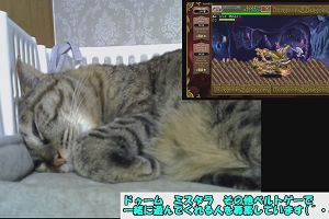 18時30分 ごろ
