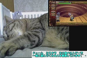 18時45分 ごろ