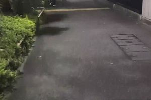 20時25分 ごろ