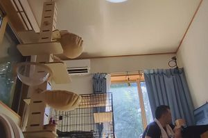 10時00分 ごろ