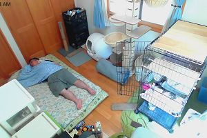 11時45分 ごろ