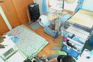 13時50分 ごろ