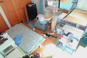 09時45分 ごろ