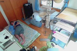 11時00分 ごろ