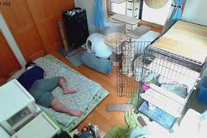 12時00分 ごろ