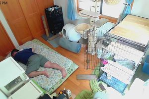 12時20分 ごろ