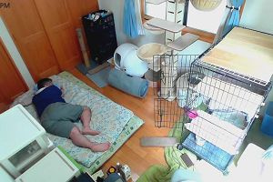 13時10分 ごろ