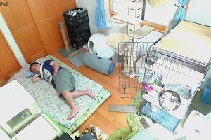 15時00分 ごろ