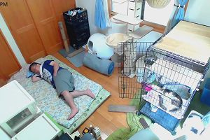 15時30分 ごろ