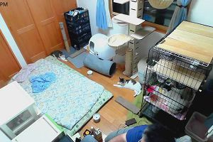 18時30分 ごろ
