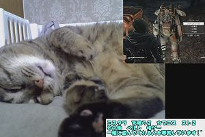 21時55分 ごろ