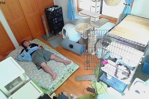 13時05分 ごろ