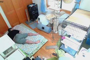 14時45分 ごろ