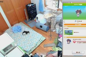 15時55分 ごろ
