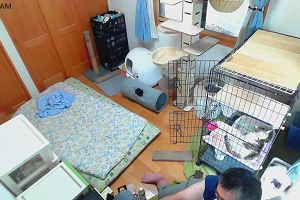 09時20分 ごろ
