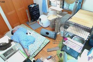 11時30分 ごろ