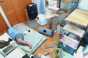 13時20分 ごろ