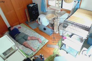 12時30分 ごろ