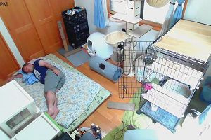 15時05分 ごろ