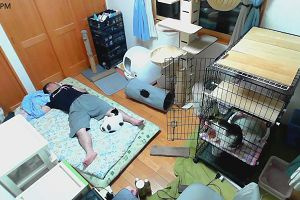 20時05分 ごろ