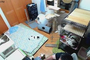 23時35分 ごろ