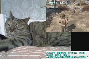 10時05分 ごろ