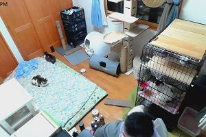 20時45分 ごろ