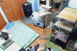 21時30分 ごろ