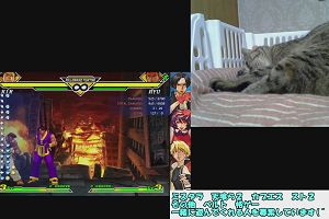 23時45分 ごろ