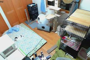 19時35分 ごろ