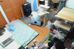 20時00分 ごろ