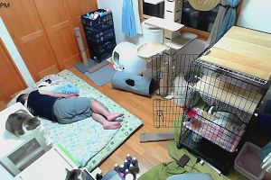 20時40分 ごろ