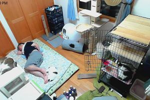 23時45分 ごろ