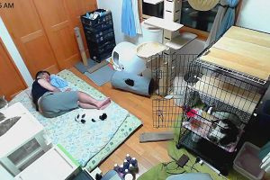 00時30分 ごろ