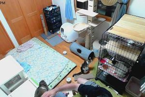 19時15分 ごろ