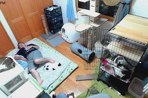 21時15分 ごろ