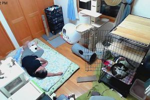 22時55分 ごろ
