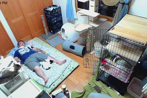 22時05分 ごろ