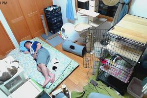 22時40分 ごろ
