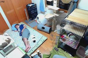 22時55分 ごろ