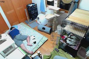 23時55分 ごろ