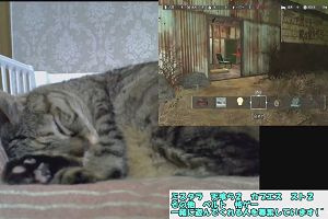 19時50分 ごろ
