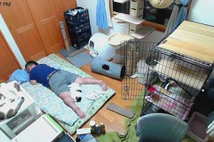 23時40分 ごろ