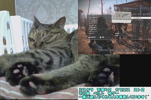 12時35分 ごろ