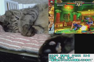 13時20分 ごろ
