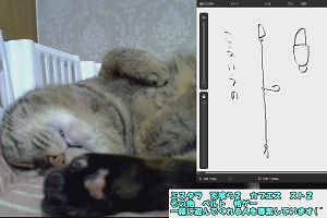 14時20分 ごろ
