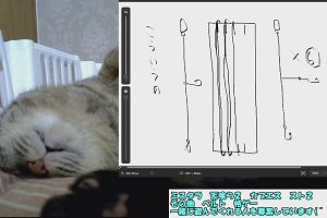 14時25分 ごろ