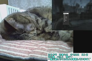 18時45分 ごろ