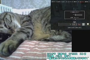 19時45分 ごろ