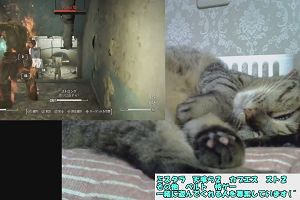 08時05分 ごろ